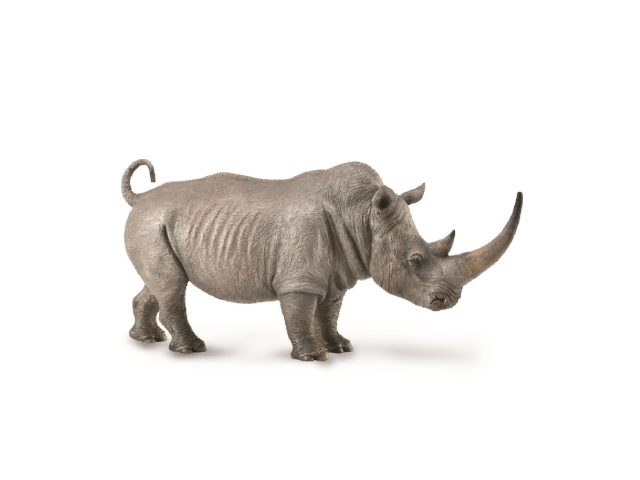 Breitmaulnashorn