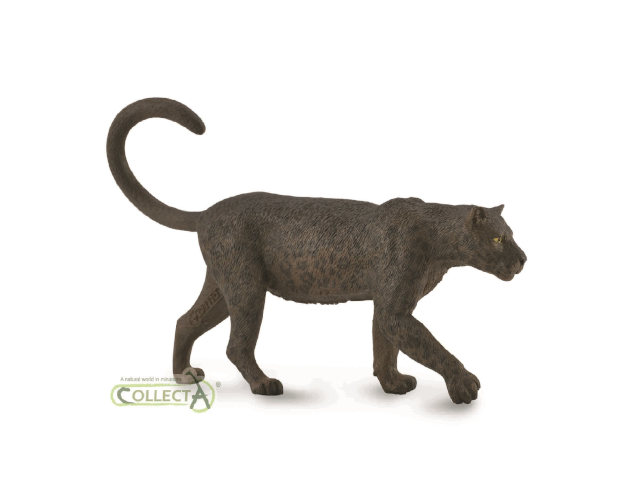 Schwarzer Panther