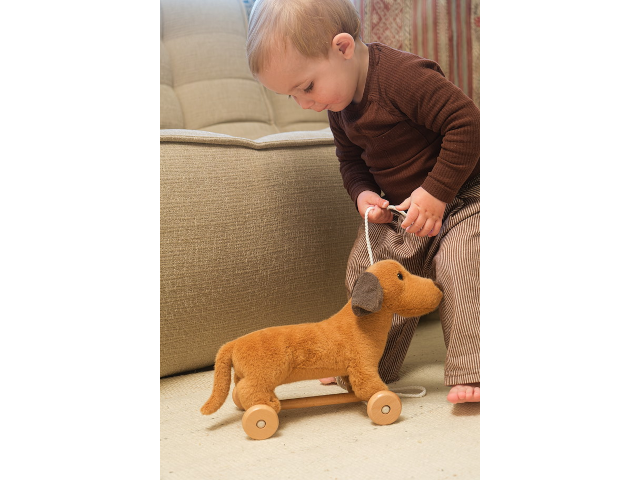 Plüschhund Edward auf Rädern