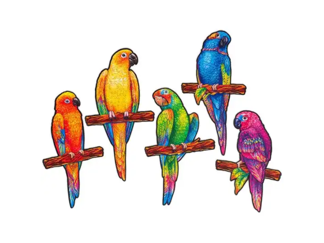 UNIDRAGON - Playful Parrots (5 to 1) `M` - 0