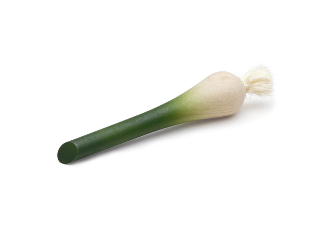Frühlingszwiebel