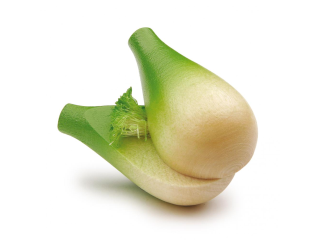 Fenchelknolle