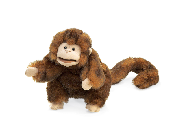 Braunes Äffchen / Monkey