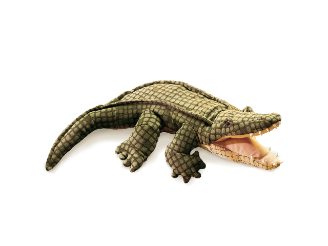 Alligator / Alligator