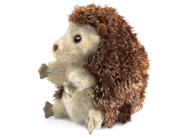 Igel / Hedgehog