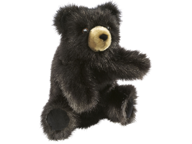 Kleiner dunkelbrauner Bär / Baby Black Bear