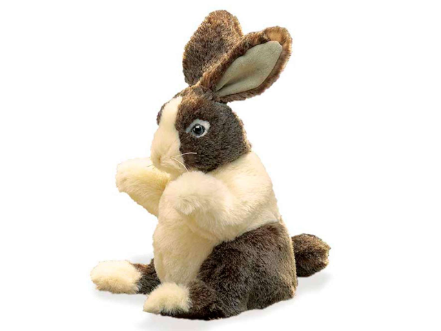 Baby Hase Dutch / Baby Dutch Rabbit