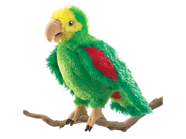 Amazonen-Papagei / Amazon Parrot