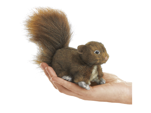 Mini Eichhörnchen, rot / Mini Red Squirrel