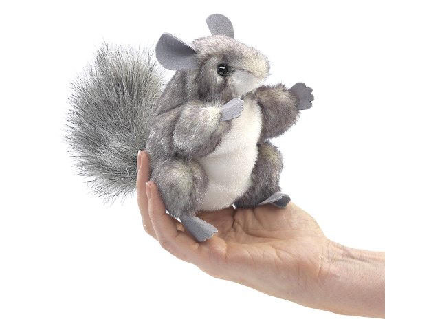 Mini Chinchilla / Mini Chinchilla