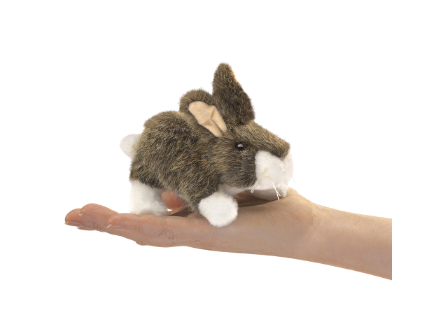 Mini Kaninchen / Mini Cottontail Rabbit