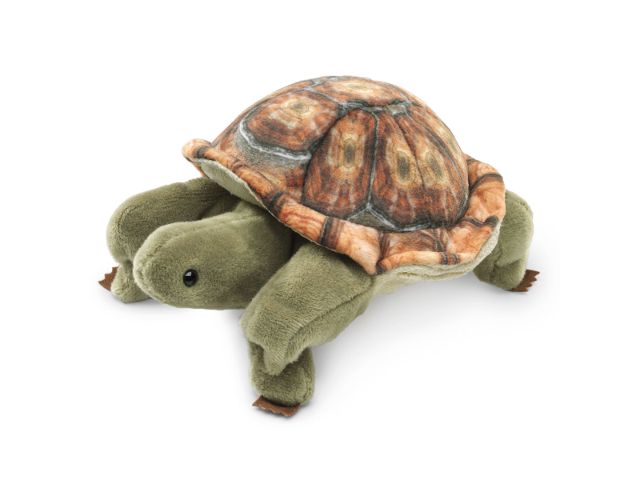 Mini Landschildkröte