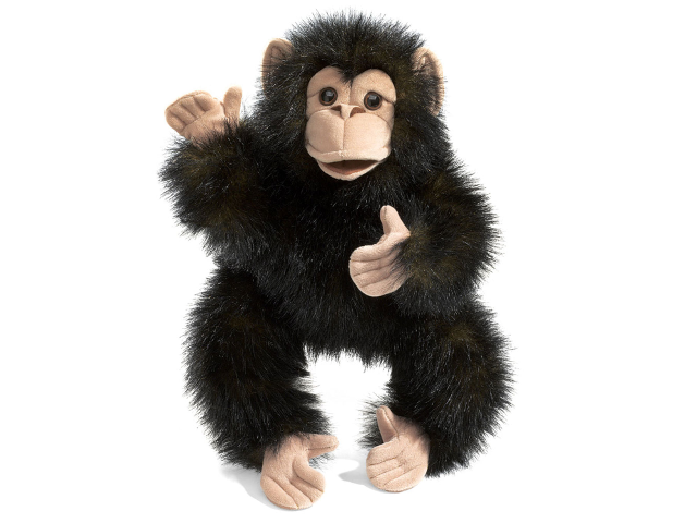 Baby Schimpanse / Baby Chimpanzee