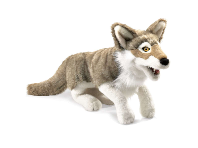 Grauwolf / Wolf, Grey