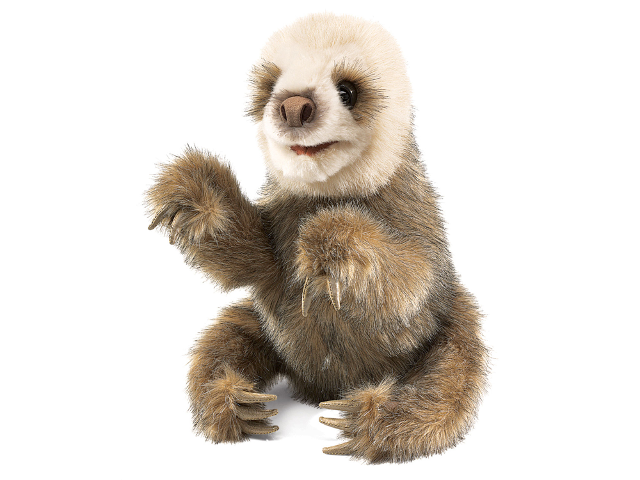 Faultierbaby / Baby Sloth