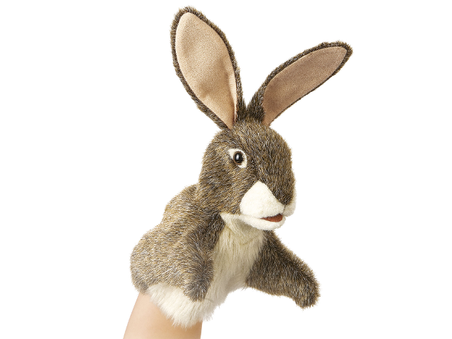 Kleiner Hase / Little Hare