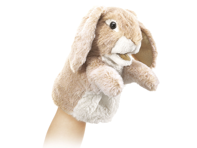 Kleiner Hängeohrhase