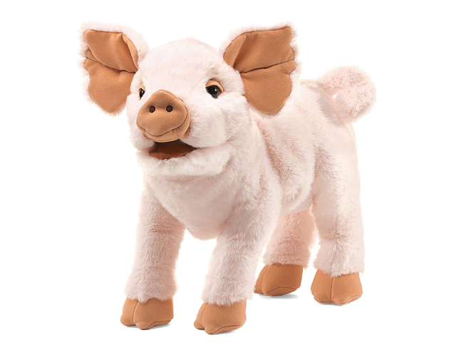 Ferkel / Piglet