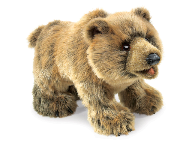 Grizzlybär / Grizzly Bear