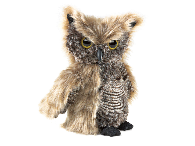 Kreisch-Eule / Screech Owl
