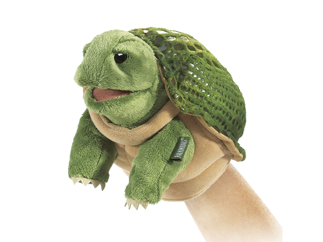 Kleine Schildkröte / Little Turtle