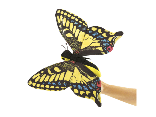 Schwalbenschwanz / Swallowtail Butterfly