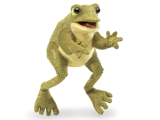 Lustiger Frosch / Funny Frog