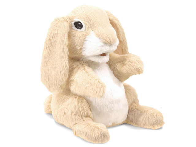 Hase, kann schnüffeln / Sniffing Rabbit