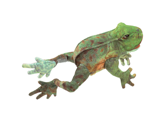 Hüpfender Frosch / Jumping Frog