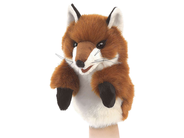 Kleiner Fuchs / Little Fox