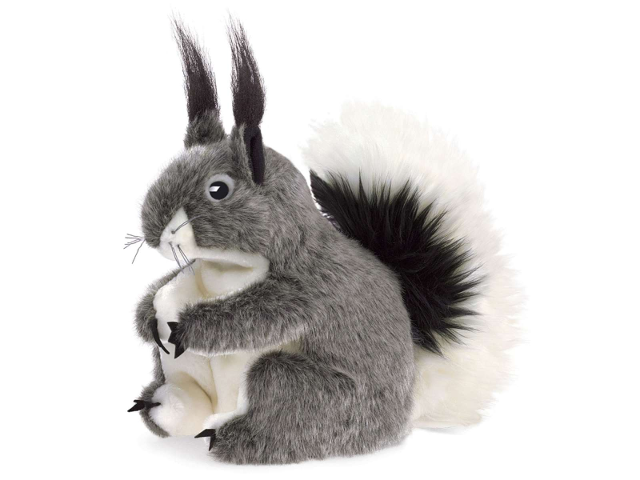 Abert Eichhörnchen / Abert Squirrel