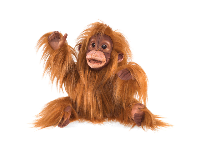 Baby Orang-Utan / Baby Orangutan