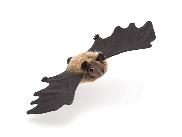 Kleine Fledermaus