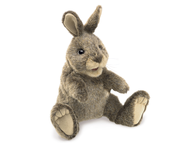 Kleines Baumwollschwanzkaninchen