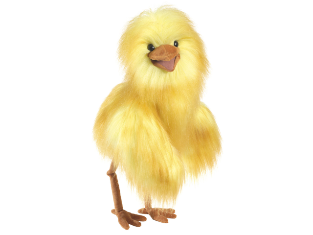 Lustiger Vogel / Funny Bird