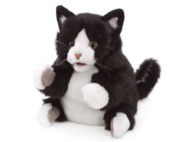 Tuxedo Kätzchen / Tuxedo Kitten