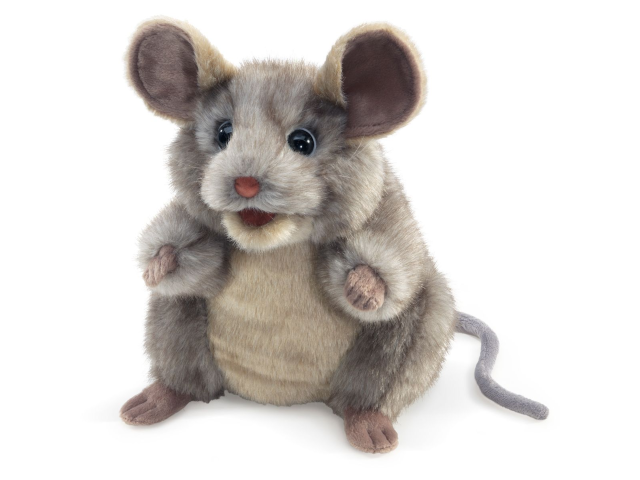 Grau Maus