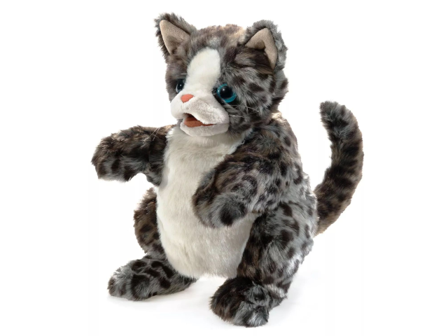 Wildkatzenbaby