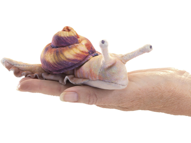 Mini Snail / Schnecke