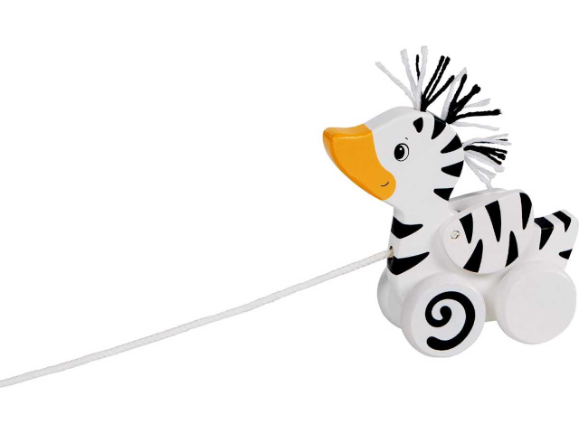 Ziehtier Zebra-Ente