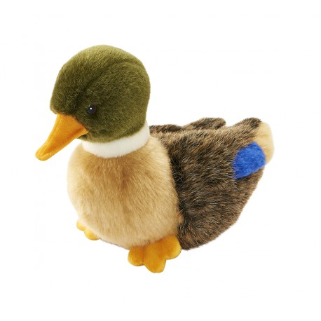 Stockente
