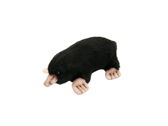 Maulwurf