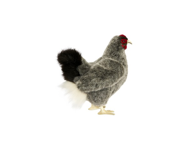Huhn grau 31cmH