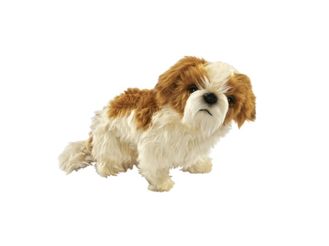 Shihtzu Hund 25cmH