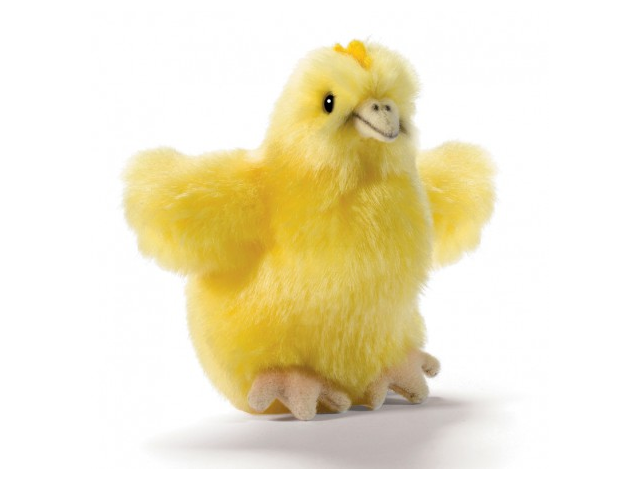 Küken