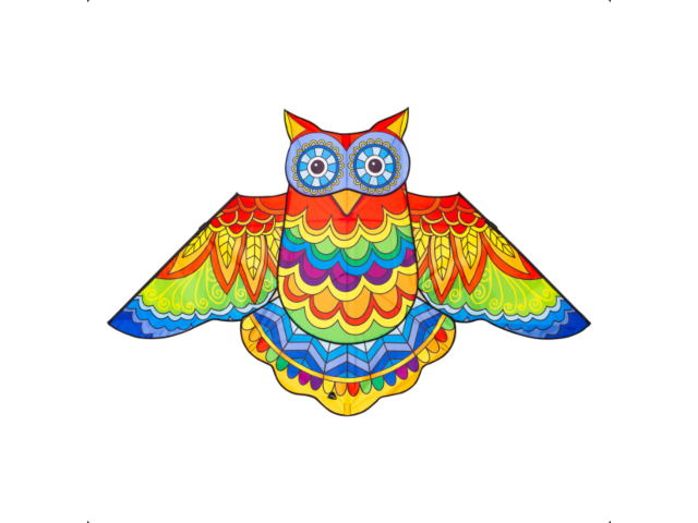 Drachen Jazzy Owl Kite