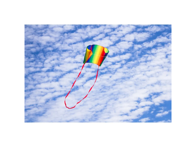 Drachen Sleddy Rainbow
