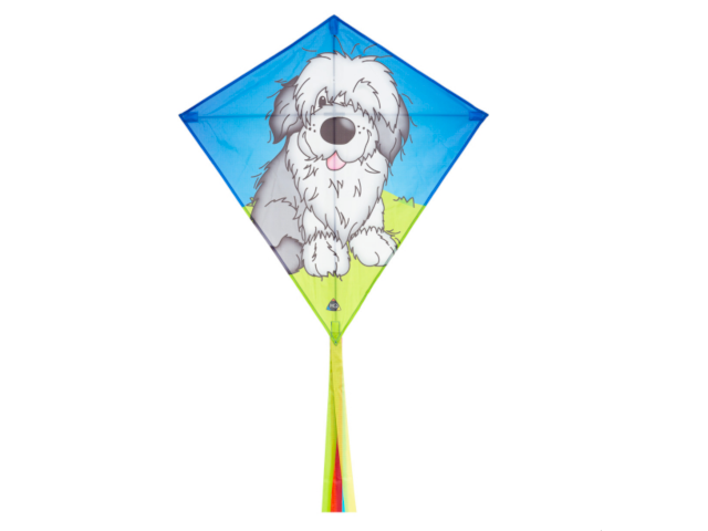 Drachen Eddy Shaggy Dog