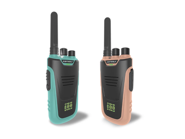 Walkie-Talkies mit Taschenlampe hellblau/rosa