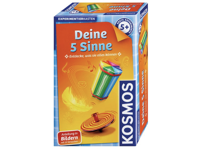 ERSTE EXP. Deine 5 Sinne